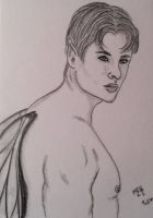 Handsome Fae